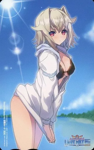 ヴァイス「図書カード500円 PS3/PSVita版 アルカナハート3 LOVE MAX!!!!!(ARCANA HEART)」 いまじん特典