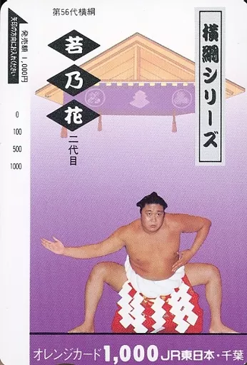 横綱 貴乃花 オレンジカード 2026年最新】Yahoo!オークション -横綱貴乃花(チケット、金券、宿泊