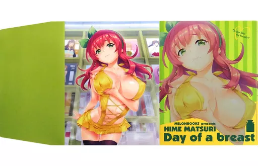 同人アクセサリー・小物系　【めろんちゃん】B5メタルブックカバー りんごちゃん(Hisasi) 姫まつりフェア～乳の日編～/メロンブックス