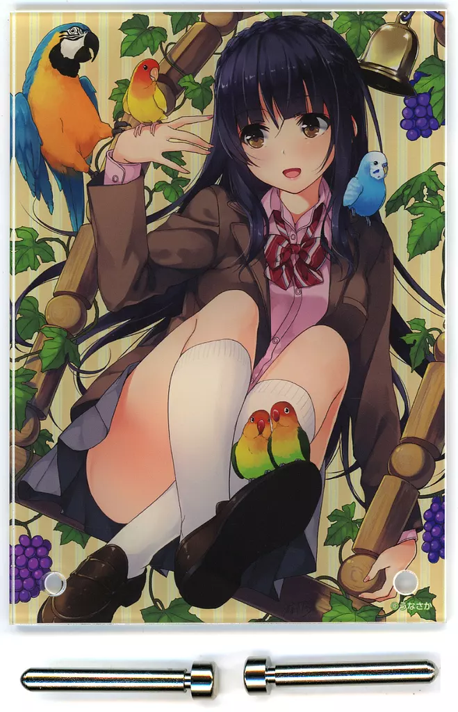 【オリジナル】A6アクリルボード 絵柄D(うなさか) うなさか展/深海喫茶＆とらのあな