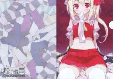 【東方Project】B5クリアファイル フランドール・スカーレット(大嘘) C83/嘘つき屋