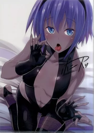 【Fate】複製サイン入りA4クリアファイル 静謐のハサン(ポニーR) サンシャインクリエイション2017 Winter新刊購入特典/瞬間最大風速&メロンブックス