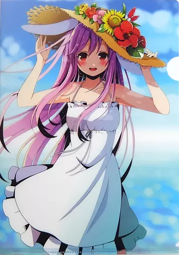 コロコロうどん ののこ先生 東方 イラスト集 クリアファイル 色紙 タペストリー コロコロうどん ののこ先生 東方 イラスト集 クリアファイル