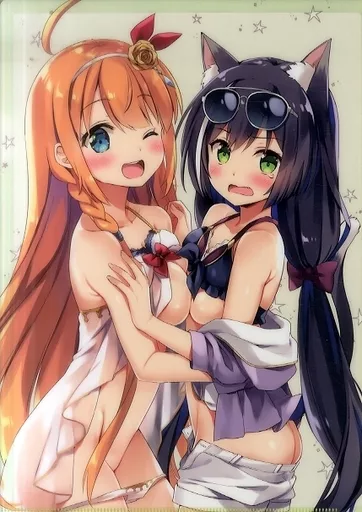 【プリンセスコネクト】A4クリアファイル ペコリーヌ&キャル(なつめえり&えれっと) こみっく★トレジャー35/いちごさいず&うつらうららか