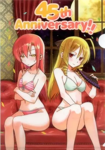 【ハヤテのごとく】A4クリアファイル 桂ヒナギク＆天王州アテネ(畑健二郎) コミックマーケット45周年記念誌特典/有限会社コミケット＆とらのあな