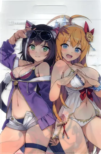 【プリンセスコネクト!】クリアファイルバッグ ペコリーヌ&キャル(たくじ) C99/Number2