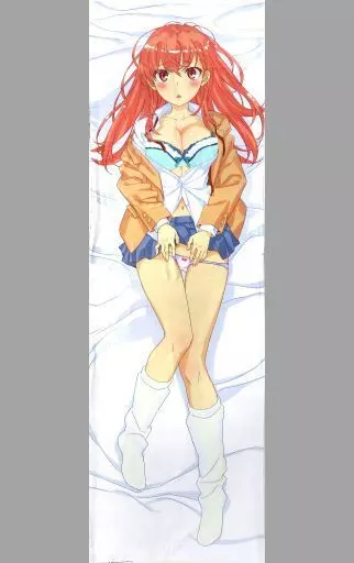 駿河屋 -【アダルト】<中古>【オリジナル】抱き枕カバー(田中