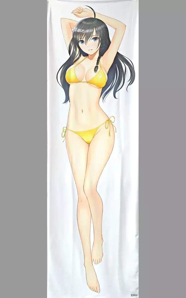 【シャイニング・レゾナンス】抱き枕カバー ソニア(Tony) /T2 ART WORKS