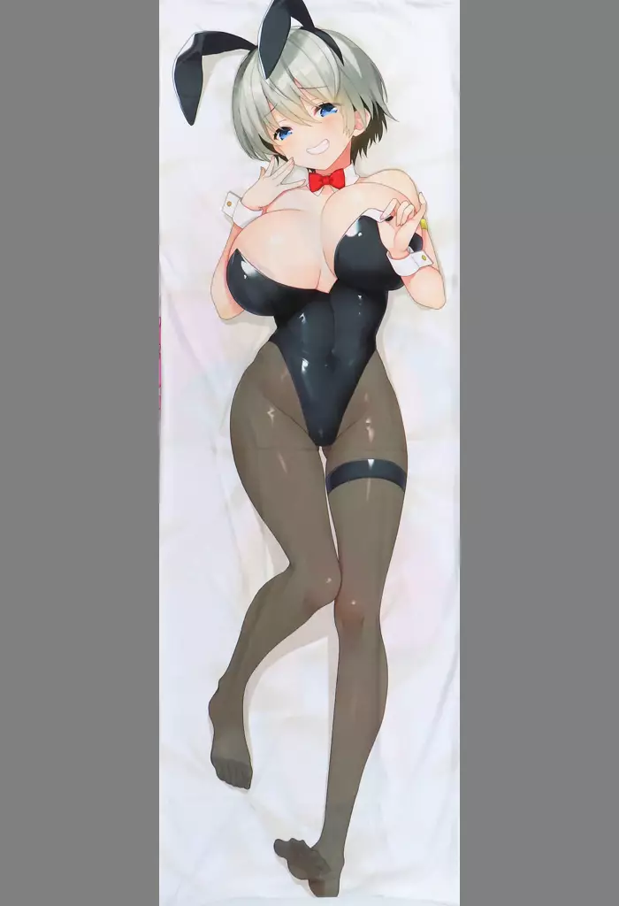 【宇崎ちゃんは遊びたい!】抱き枕カバー チア&バニーver・絵柄2 宇崎花(M.G.F) /Moe