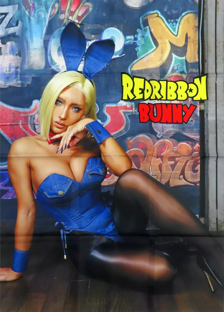 【ドラゴンボール】A1布ポスター REDRIBBON BUNNY 18号(non) C104/nonsummerjack
