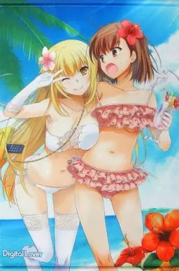 【とある科学の超電磁砲】B2タペストリー 食蜂操祈&御坂美琴(なかじまゆか) C84/Digital Lover
