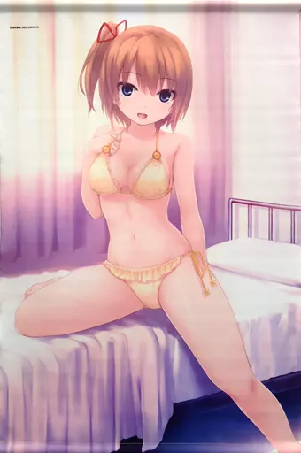 【めろんちゃん】B2ダブルスエードタペストリー れもんちゃん(珈琲貴族) C87/メロンブックス