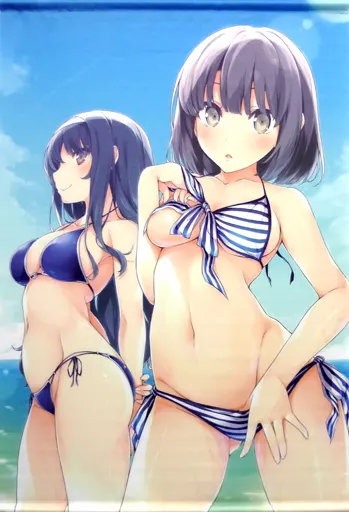 【冴えない彼女の育てかた】B2加藤ちゃん&詩羽先輩タペストリー 加藤恵&霞ヶ丘詩羽(溝口ケージ) C90/NtyPe