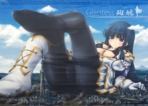 駿河屋 -<中古>[破損品]【閃乱カグラ】B2タペストリー 斑鳩(SS) C84
