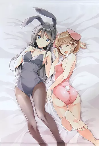 【青春ブタ野郎はバニーガール先輩の夢を見ない】B2タペストリー 桜島麻衣&古賀朋絵(溝口ケージ) C95/Ntype