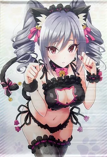 【アイドルマスター】B2タペストリー 猫ランジェリーver 神崎蘭子(うらび) /tomatohouse‐905’s room