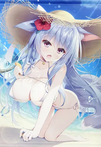 【オリジナル】B2タペストリー 全年齢版 狐っ娘 うみこ(やたぬき圭) /Curiocity
