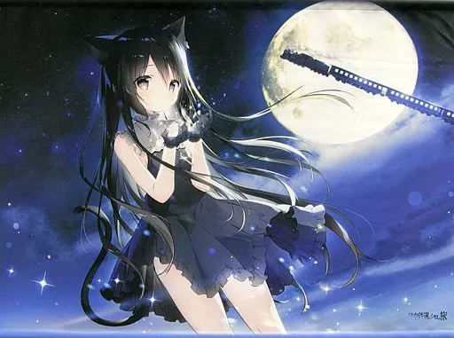 【新品未開封】星空鉄道とシロの旅 しらたま しらたまこ ノワール タペストリー Amazon｜星空鉄道とシロの旅 B2 タペストリー ノワール しらたま