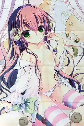 【オリジナル】組み立て式B2タペストリー(シロガネヒナ) /メロンブックス