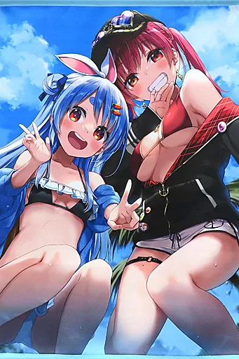 【バーチャルYoutuber】ぺこマリサマーB2タペストリー 兎田ぺこら＆宝鐘マリン(えれっと) C100/うつらうららか