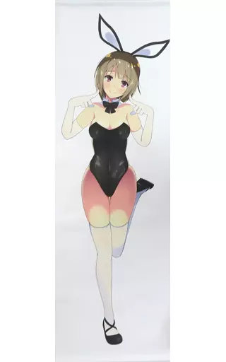 等身大タペストリー ファインモーション C102/Infinite Sage_image