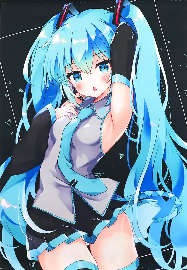 【ボーカロイド】B2タペストリー black miku 初音ミク(しずり) /とりぷるもぐもぐ。