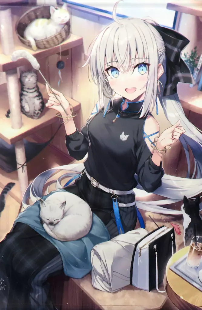 【Fate シリーズ】B2タペストリー 猫カフェちゃれんじ! モルガン(我美蘭) C105/でぶねこ