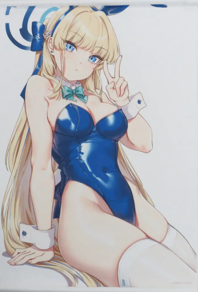 【ブルーアーカイブ】B2Wスエードタペストリー 飛鳥馬トキ(方向錯亂) ブルーアーカイブ大応援企画2024 2024.5/メロンブックス