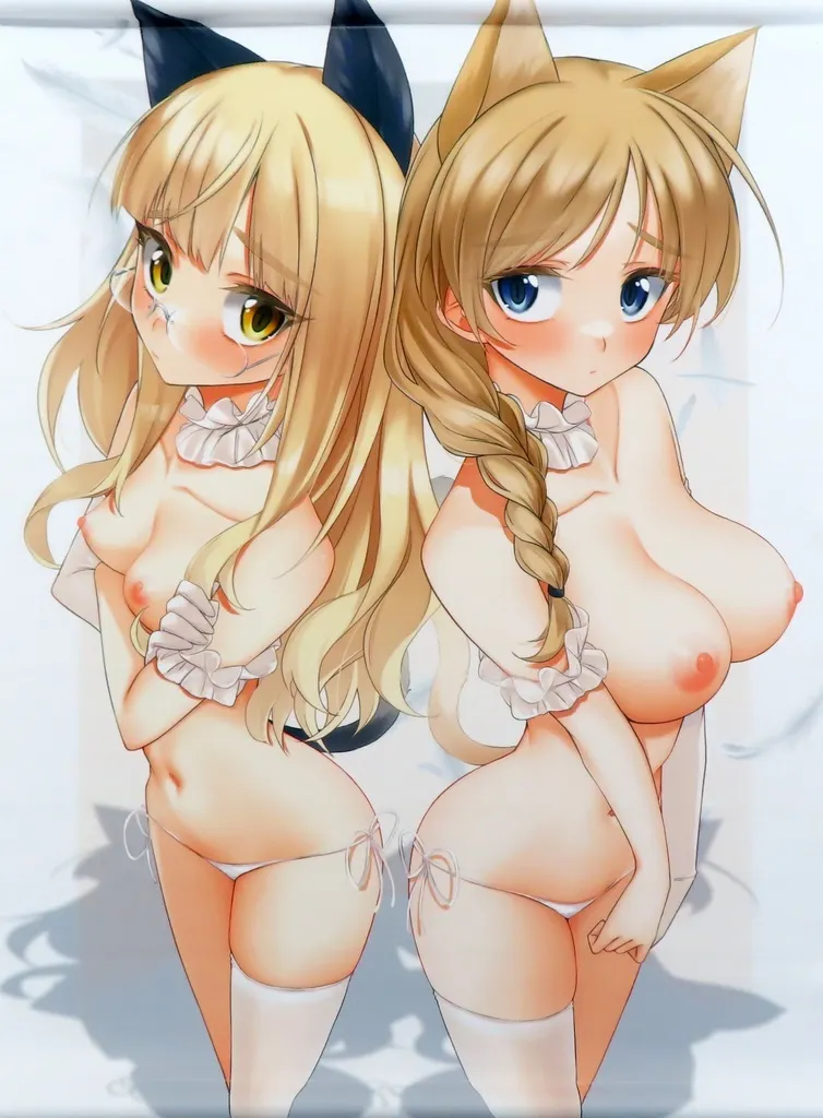 【ストライクウィッチーズ】B2タペストリー ペリーヌ＆リーネ(木綿豆腐) 陸海空魔合同演習フレンズ2024秋季/ぎっくり豆腐店