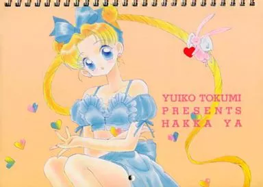 【美少女戦士セーラームーン】1996年カレンダー(篤見唯子) /薄荷屋