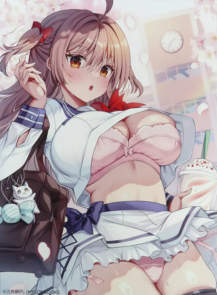 【オリジナル】F4キャンバスボード B賞 絵柄A(三色網戸。) 三色網戸。 Refine メロブオンラインくじ/メロンブックス