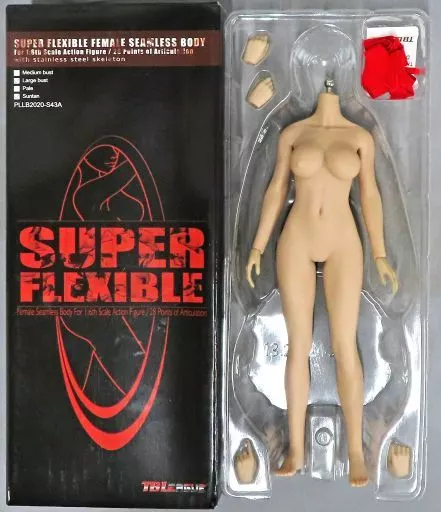 ドールアクセサリー　1/6 女性シームレスボディ ステンレススティールスケルトン ラージバスト サンタン