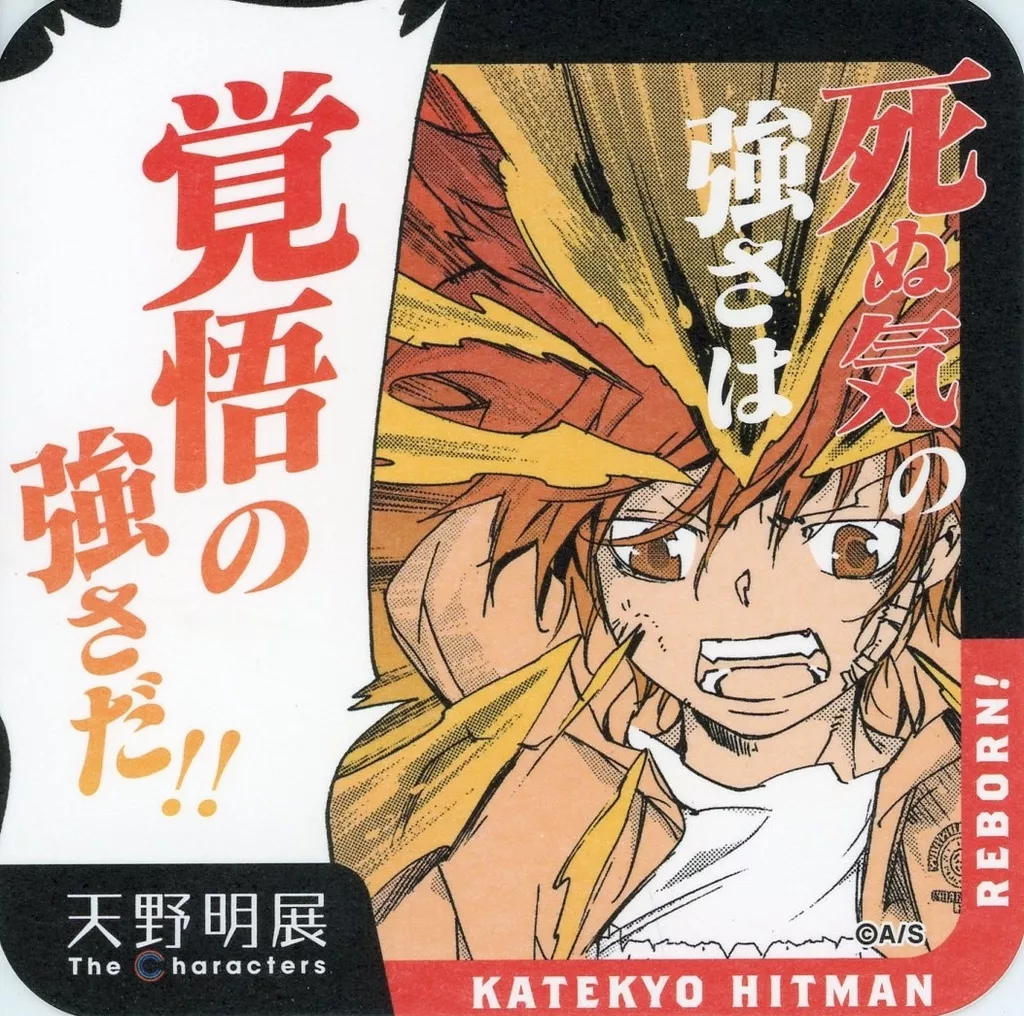 家庭教師ヒットマンreborn アートコースター 沢田綱吉 3種 家庭教師