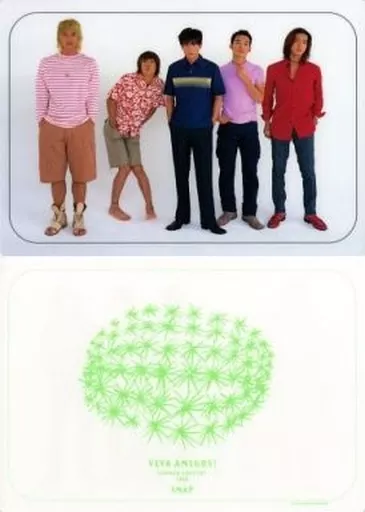 駿河屋 -<中古>SMAP A4下敷き 「SMAP SUMMER CONCERT TOUR 1998