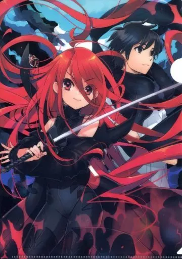 シャナ＆坂井悠二 A4 「ライトノベル 灼眼のシャナS 第4巻」 メロンブックス購入特典