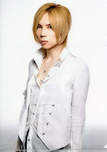 駿河屋 -<中古>yasu(Acid Black Cherry) A5オリジナルミニクリア