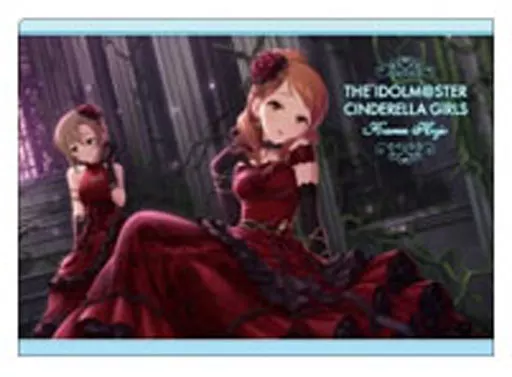 集合(2人) 「アイドルマスター シンデレラガールズ A4クリアファイルコレクション COOL」