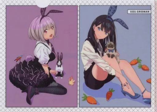 駿河屋 -<中古>宝多六花＆新条アカネ A4クリアファイル rabbit ver