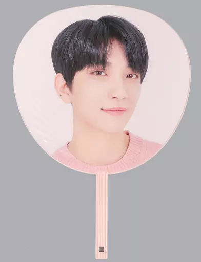 駿河屋 -<中古>ジョシュア うちわ 「SEVENTEEN 2019 JAPAN TOUR