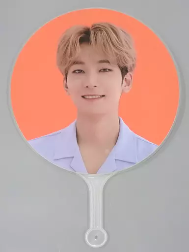 駿河屋 -<中古>ウォヌ IMAGE PICKET(うちわ) 「2021 SVT 5TH FAN