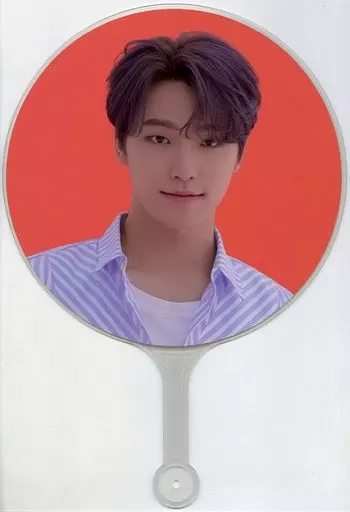 ディノ うちわ CARATLAND 2022 SEVENTEEN picket SEVENTEEN 公式グッズ WORLD TOUR Ode to You 