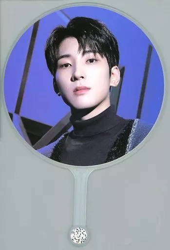 seventeen holiday collectionうちわ ウォヌ ミニ seventeen holiday ウォヌ ミニピケット セブチ うちわ｜Yahoo!フリマ