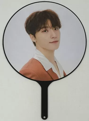 駿河屋 -<中古>ディノ IMAGE PICKET(うちわ) 「SEVENTEEN WORLD TOUR