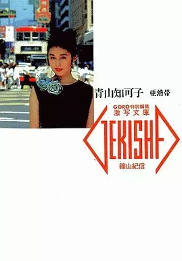 写真集 青山知可子 亜熱帯 篠山紀信 GORO 特別編集 激写文庫 青山知可子 亜熱帯 篠山紀信撮影 GORO特別編集 激写文庫19 小学館