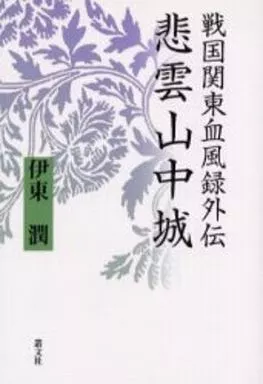 戦国関東血風録外伝―悲雲山中城: 9784794704924: Books - Amazon.ca