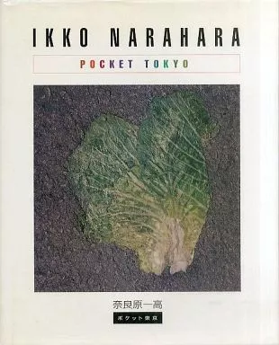 駿河屋 -<中古><<芸術・アート>> IKKO NARAHARA POCKET TOKYO