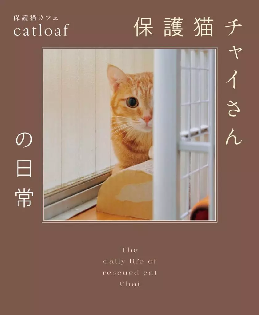 日本エッセイ・随筆 保護猫チャイさんの日常 / 保護猫カフェcatloaf