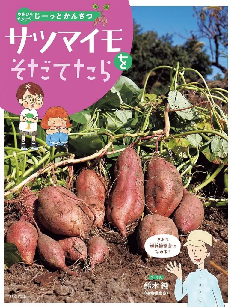 学習 サツマイモをそだてたら / 鈴木純