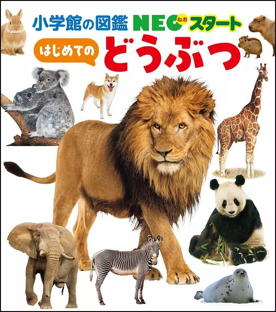 図鑑・事典・年鑑 NEOスタート はじめての どうぶつ / 小学館