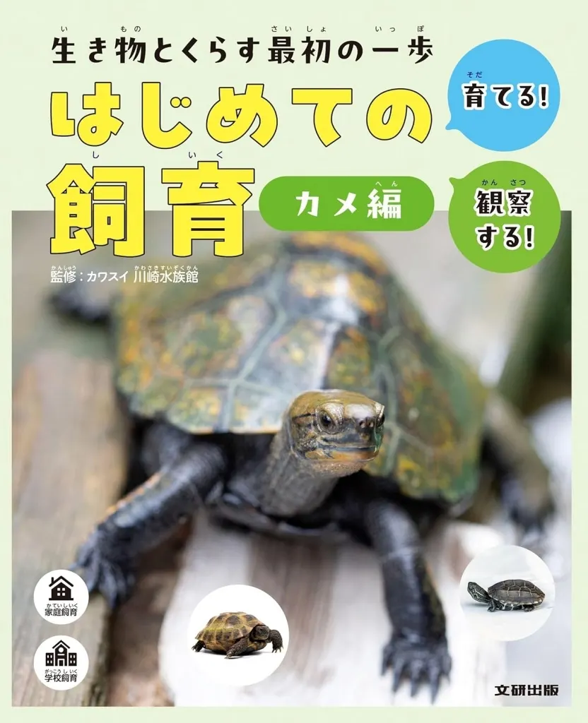 単行本(実用)　<<実用・工作・趣味>> 生き物とくらす最初の一歩 はじめての飼育 カメ編 / カワスイ川崎水族館
